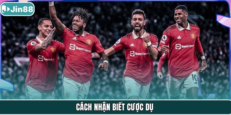 Cách nhận biết cược dụ