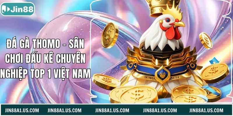 Đá Gà Thomo - Sân Chơi Đấu Kê Chuyên Nghiệp Top 1 Việt Nam
