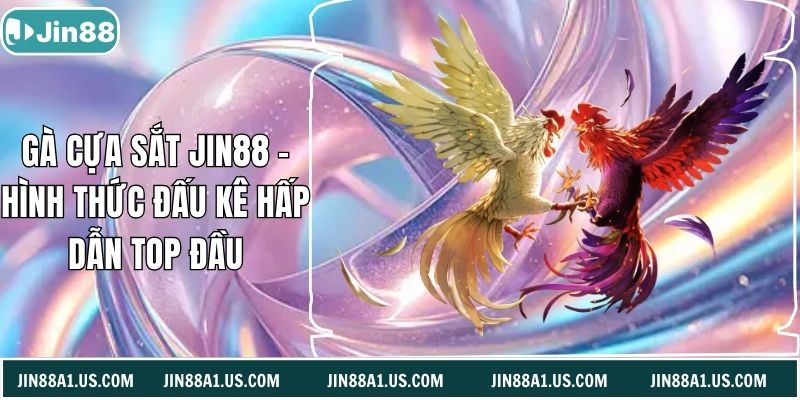 Gà Cựa Sắt Jin88 - Hình Thức Đấu Kê Hấp Dẫn Top Đầu