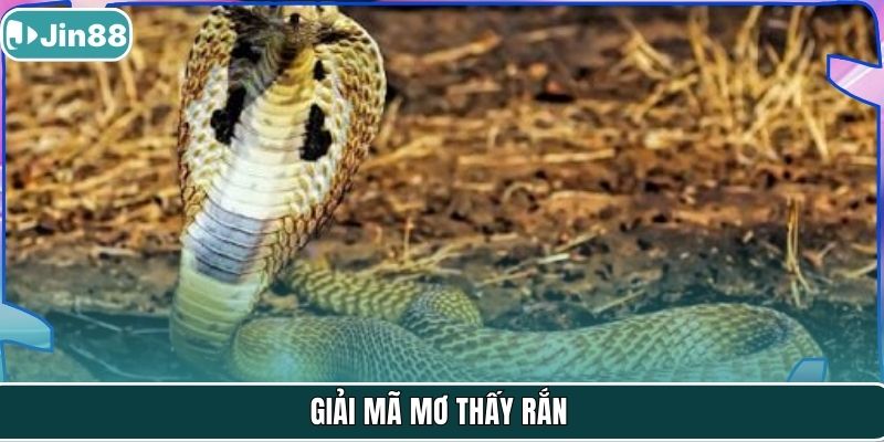 Giải mã mơ thấy rắn