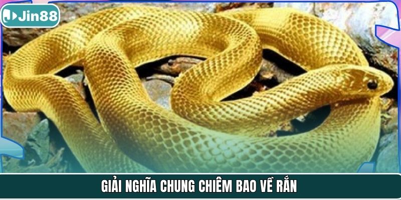 Giải nghĩa chung chiêm bao về rắn