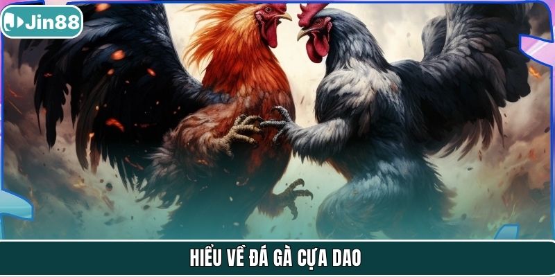 Hiểu về đá gà cựa dao