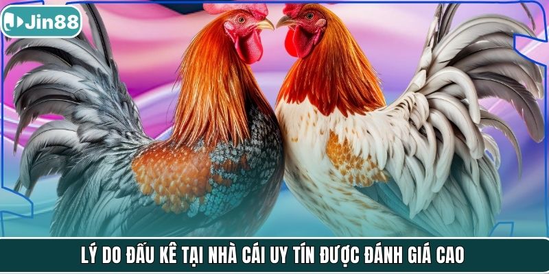 Lý do đấu kê tại nhà cái uy tín được đánh giá cao