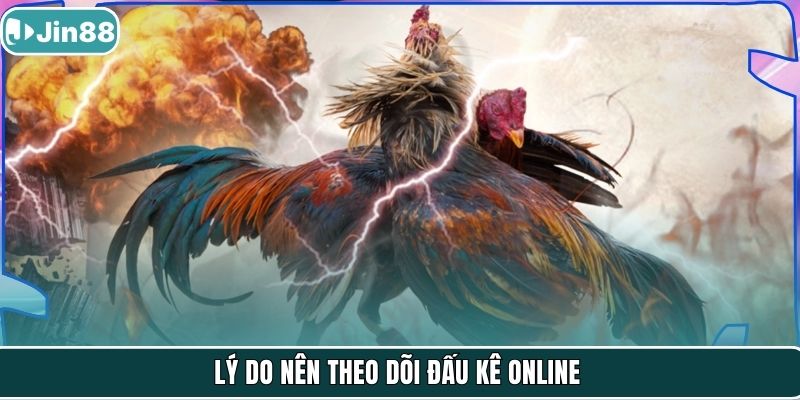 Lý do nên theo dõi đấu kê online
