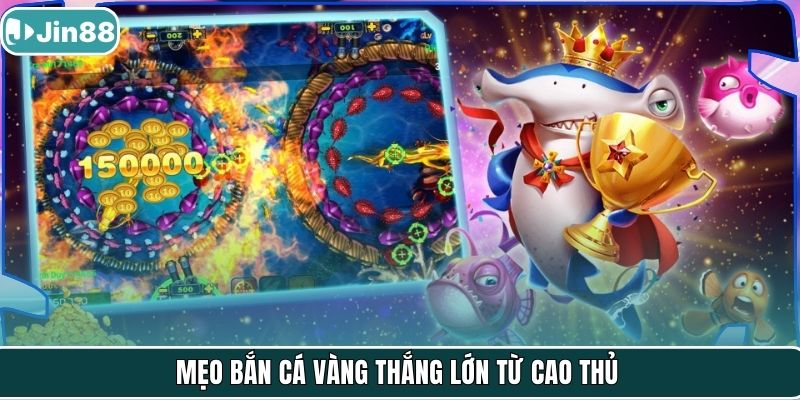 Mẹo bắn cá vàng thắng lớn từ cao thủ