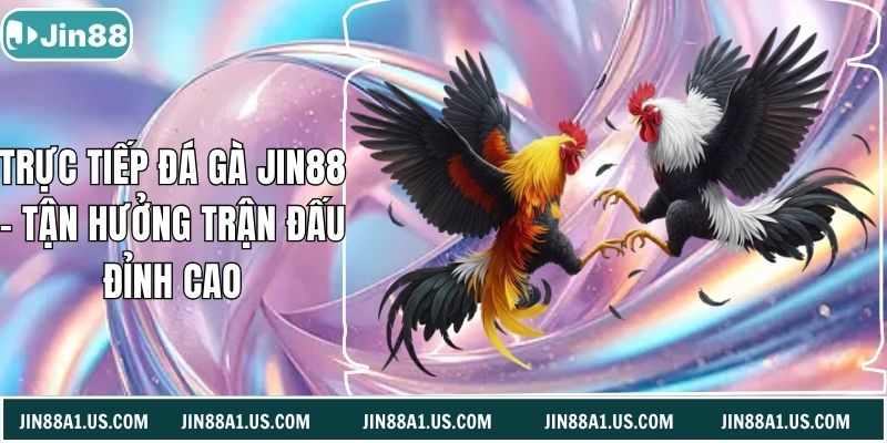 Trực Tiếp Đá Gà Jin88 - Tận Hưởng Trận Đấu Đỉnh Cao
